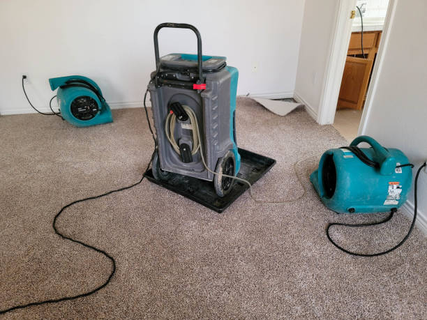 Best Water damage restoration services  in Devens, MA