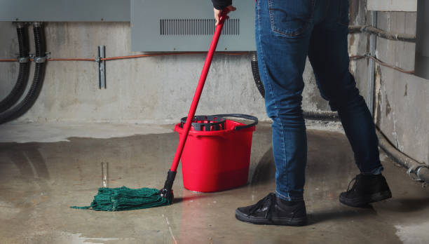 Best Flooded house restoration  in Devens, MA